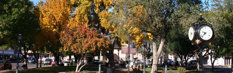 Martin Luther King Day City of Socorro New Mexico