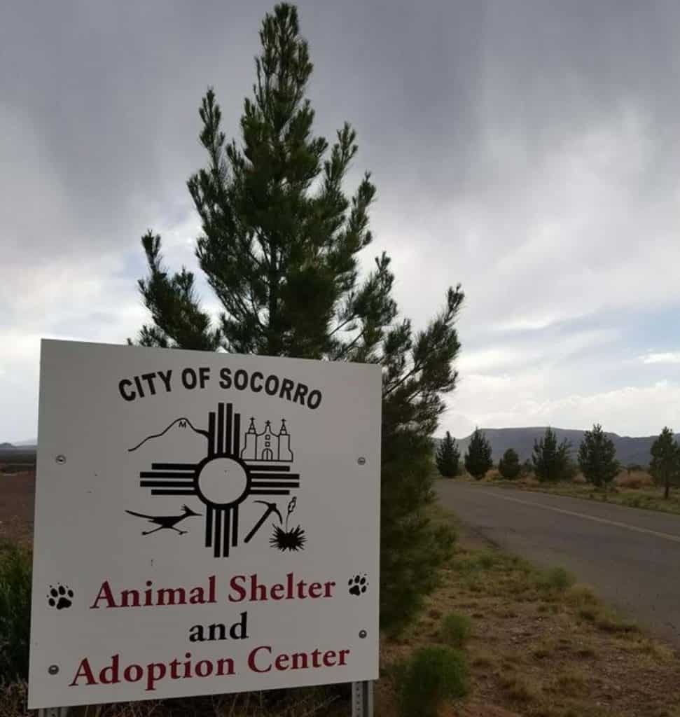City of Animal Shelter Sign